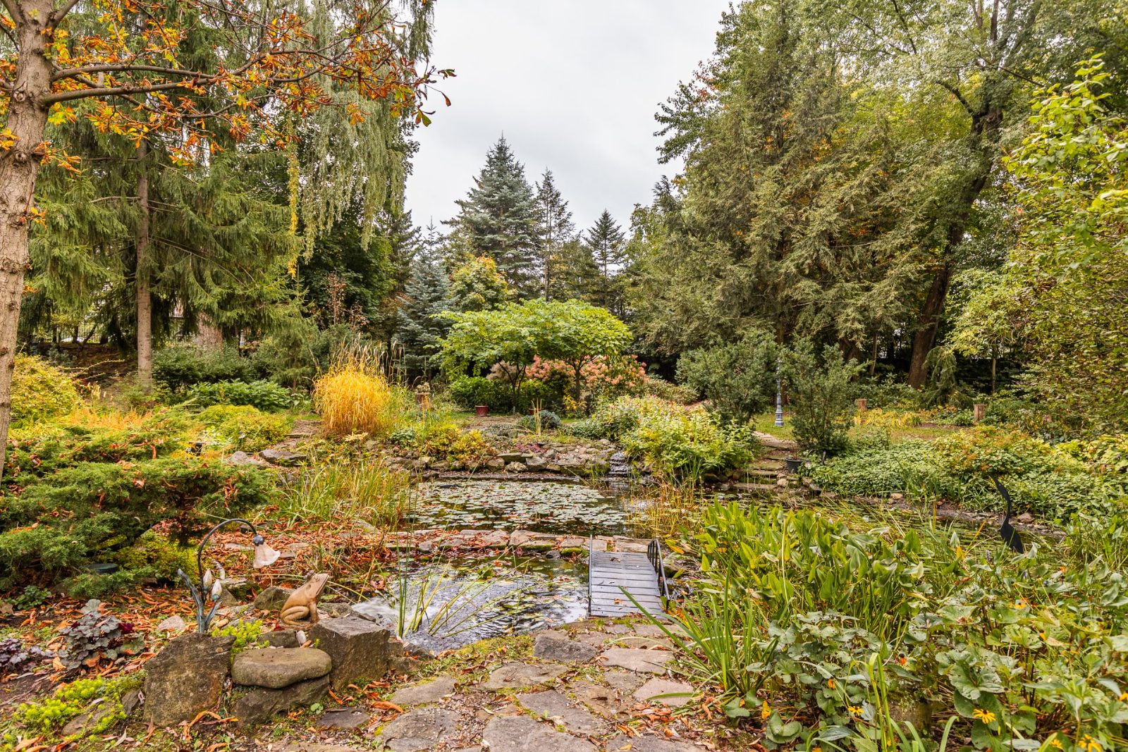 Jardin boisé